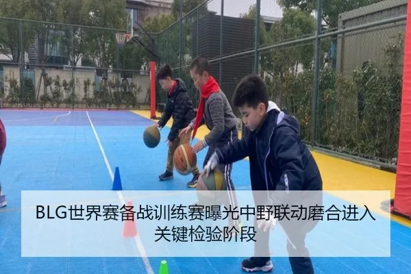 BLG世界赛备战训练赛曝光中野联动磨合进入关键检验阶段